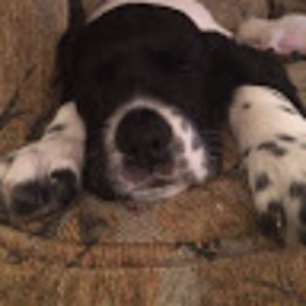 Meet your Posher, Julia